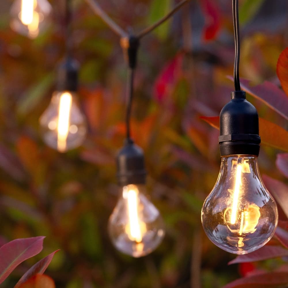 Lance Solar Festoon Lights (Set Of 10) view 1