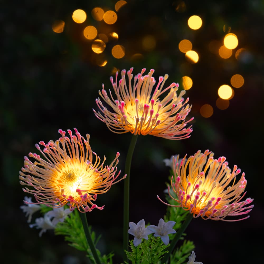 Florin Solar Flower Light - Pink view 1