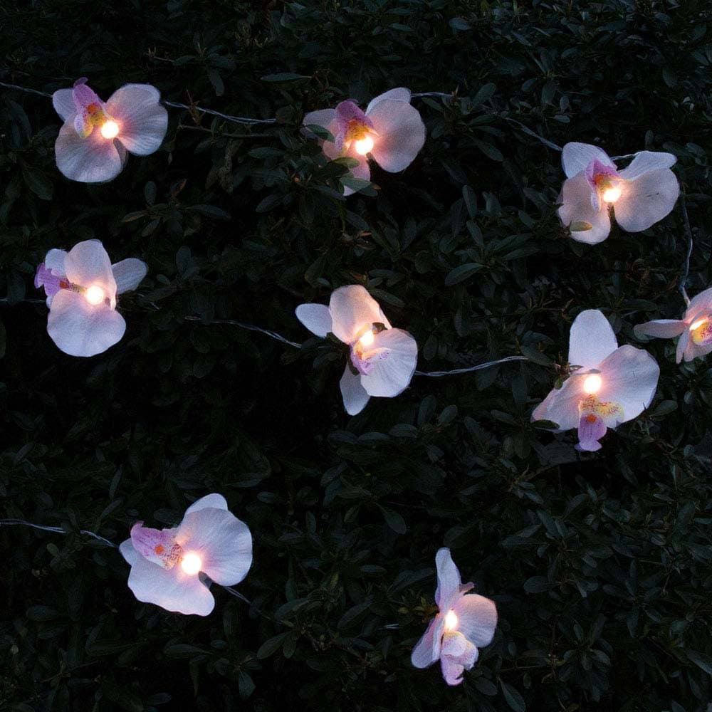 Orchid Solar String Light Warm White view 1
