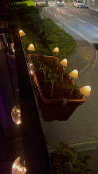Forest Solar Mushroom Lights - Set Of 12 customer photo view 2