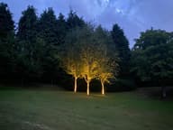 Anthralight Solar Spotlight customer photo view 1