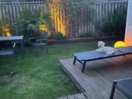 Atlas Solar Spotlights (Set Of 4) customer photo view 13