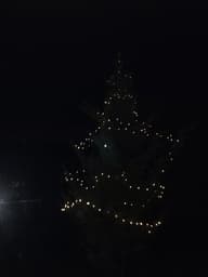 Madison Solar Copper Wire Lights - 200 LEDs customer photo view 2