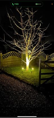 Atlas Solar Spotlights (Set Of 4) customer photo view 12