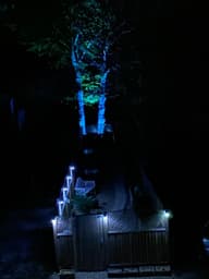Globe Solar Spotlights (Set Of 2) customer photo view 1