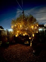 Lumify USB Solar Edison Bulbs - Set Of 20 customer photo view 2