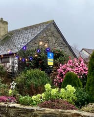 UrbanSolar Neon Lights - Star customer photo view 1