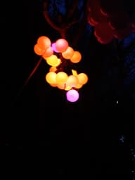 Sophia Solar Smart Festoons (Set Of  25) customer photo view 2