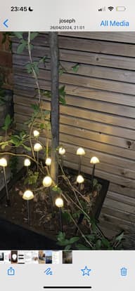Elan Solar Mushroom Lights - Set Of 12 customer photo view 3