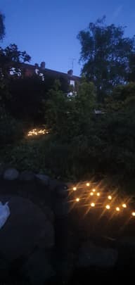 Elan Solar Mushroom Lights - Set Of 12 customer photo view 2