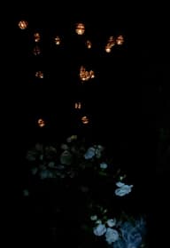 Elan Solar Copper Ball Lanterns - 20 LEDs customer photo view 1