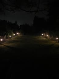 Lavenham Solar Garden Lights - 4 Pack customer photo view 8
