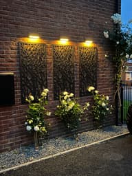 Zenith Solar Wall Light customer photo view 2