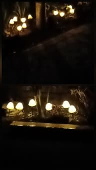 Forest XL Solar Mushroom Lights - Set of 6 customer photo view 1