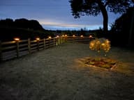 Peake Pro Solar Post Cap Light customer photo view 2