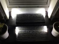 Pennine Solar PIR Step Light (Set Of 2) customer photo view 1