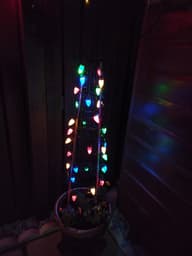 Retro USB Solar Bulbs - Set Of 30 - Multicolour customer photo view 1
