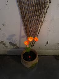Florin Solar Flower Light - Orange customer photo view 1