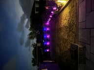 UrbanSolar Neon Lights - Flamingo customer photo view 1