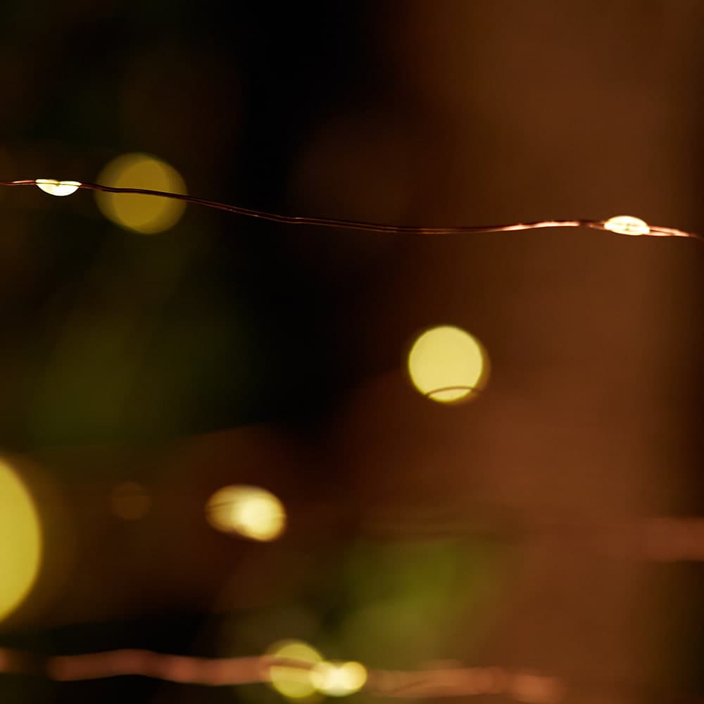 Elan Solar Copper Wire Lights - 100 LEDs key features