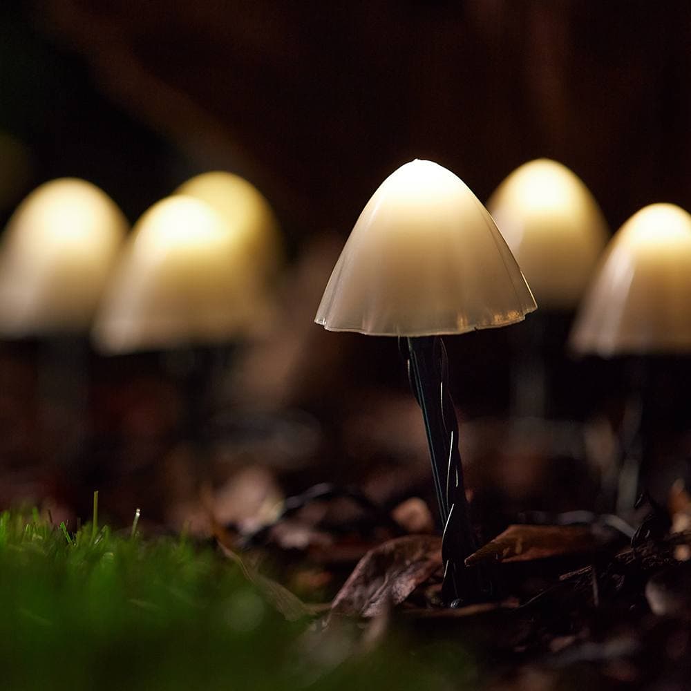 Forest Solar Mushroom Lights - Set Of 12 supporting image 1