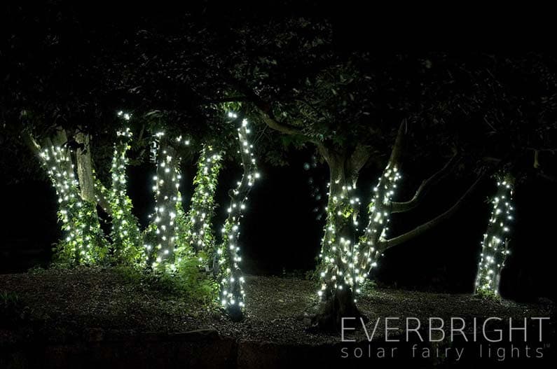 Everbright Solar Fairy Lights - Blue 100 LEDs supporting image 1