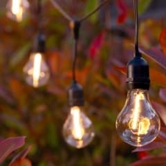 Lance Solar Festoon Lights (Set Of 10)