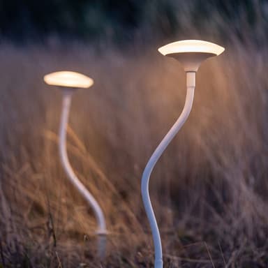Enoki Solar Mushroom (Set of 2)