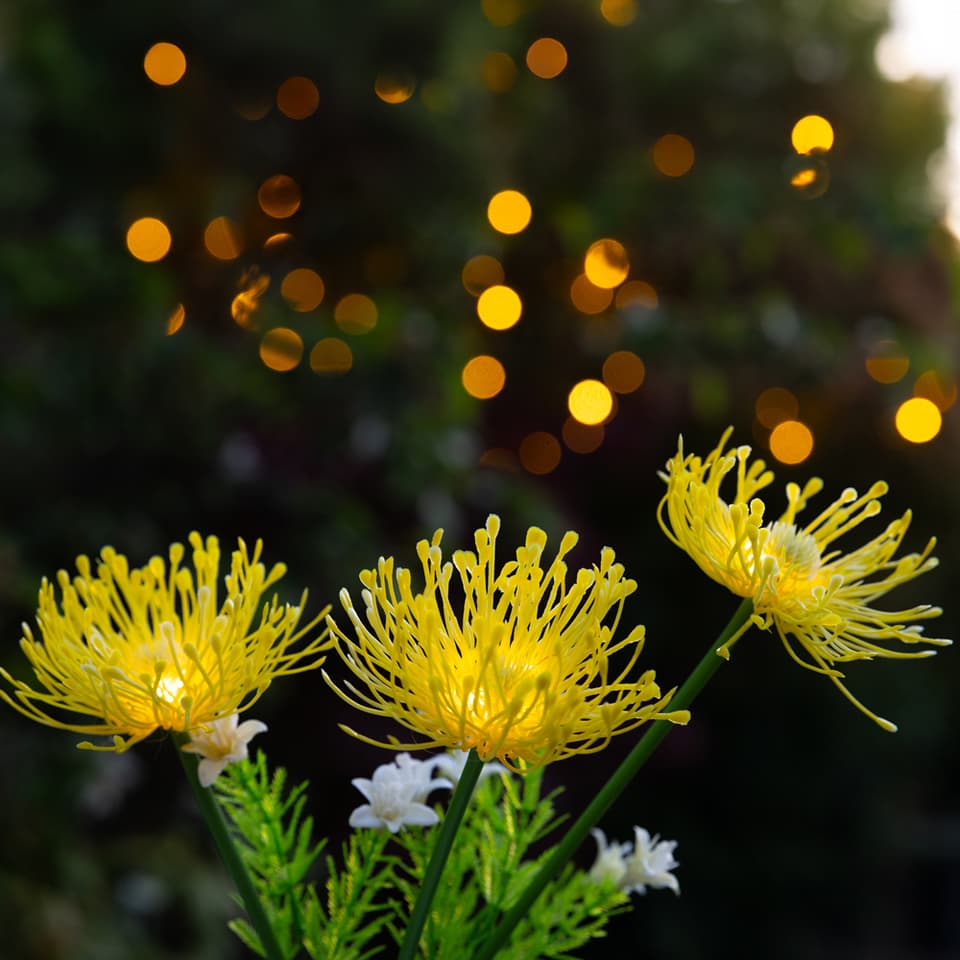 Florin Solar Flower Light - Yellow view 1