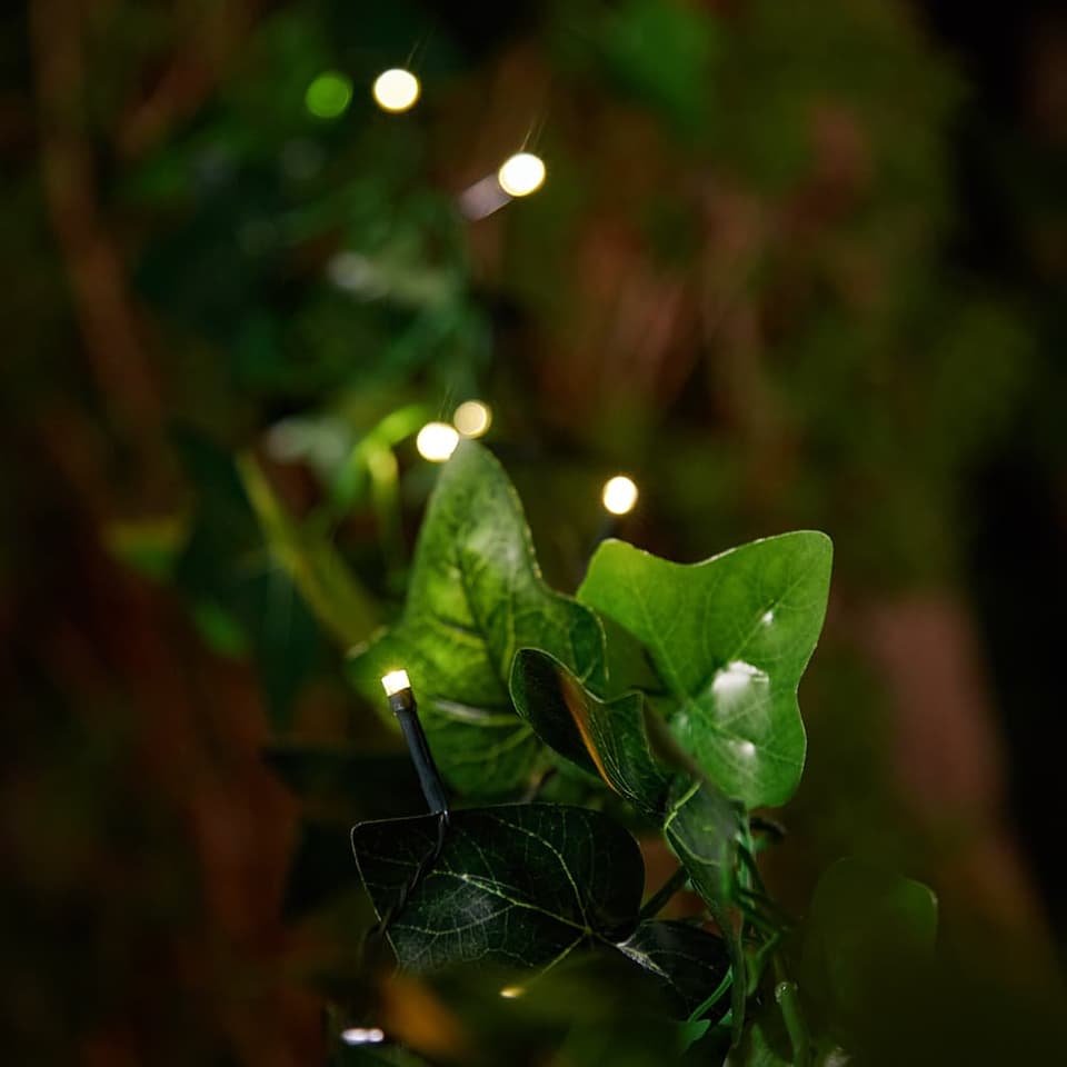 Elan Solar Ivy Lights - 20 LEDs view 2