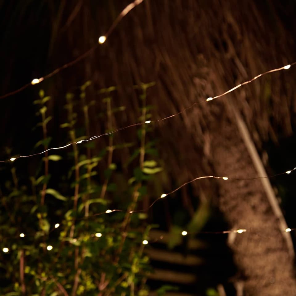 Elan Solar Copper Wire Lights - 100 LEDs view 5