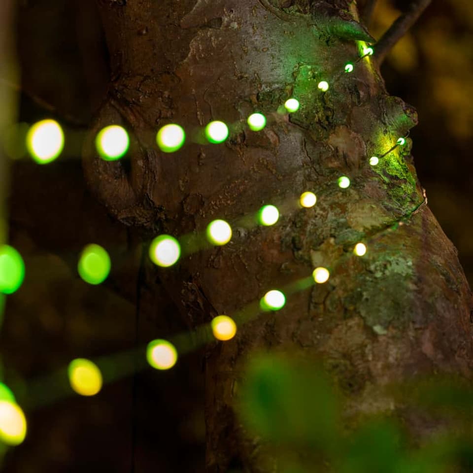 Snowdrop Solar USB Lights (Set Of 50 LEDs) view 5