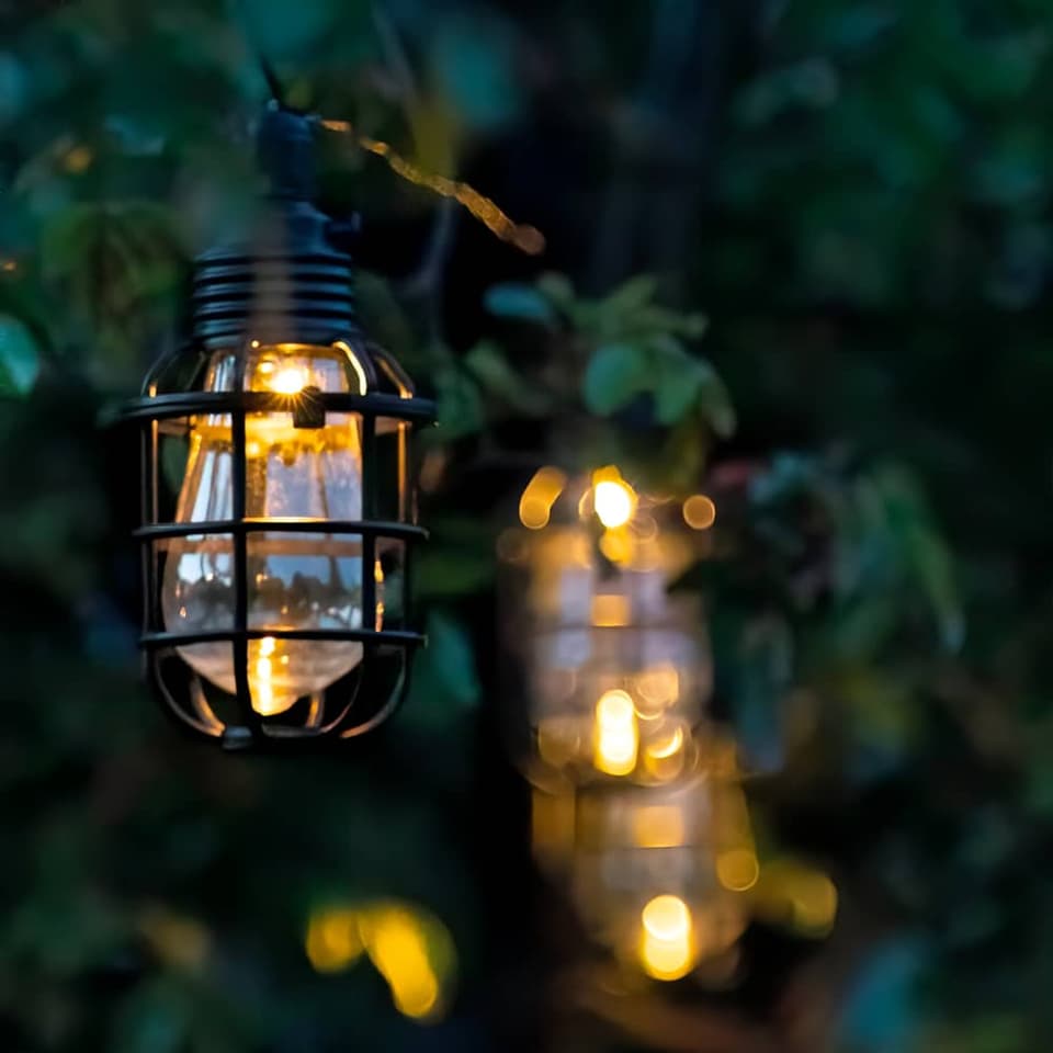 Elan Festoon Cage Solar Lights (Set of 10) view 2