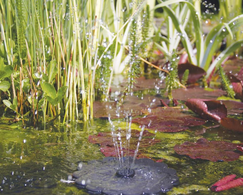 Everjet Solar Fountain view 5