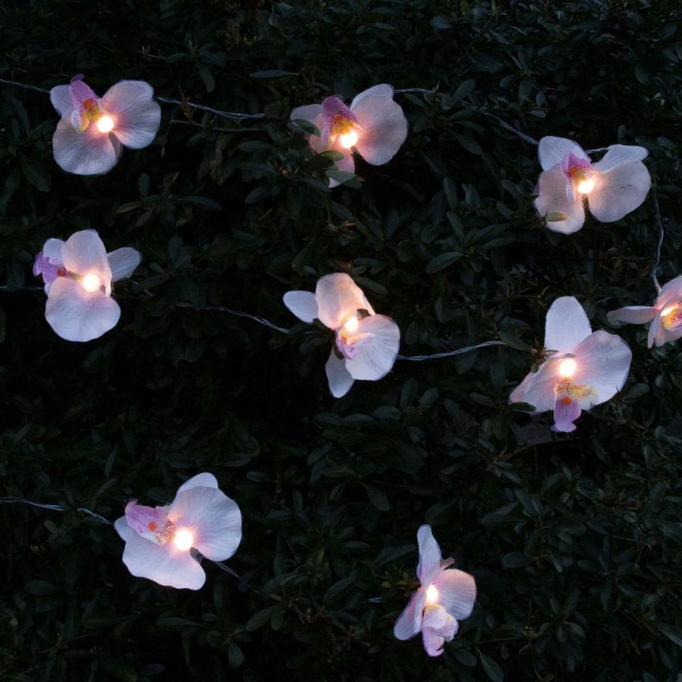 Orchid Solar String Light Warm White view 1